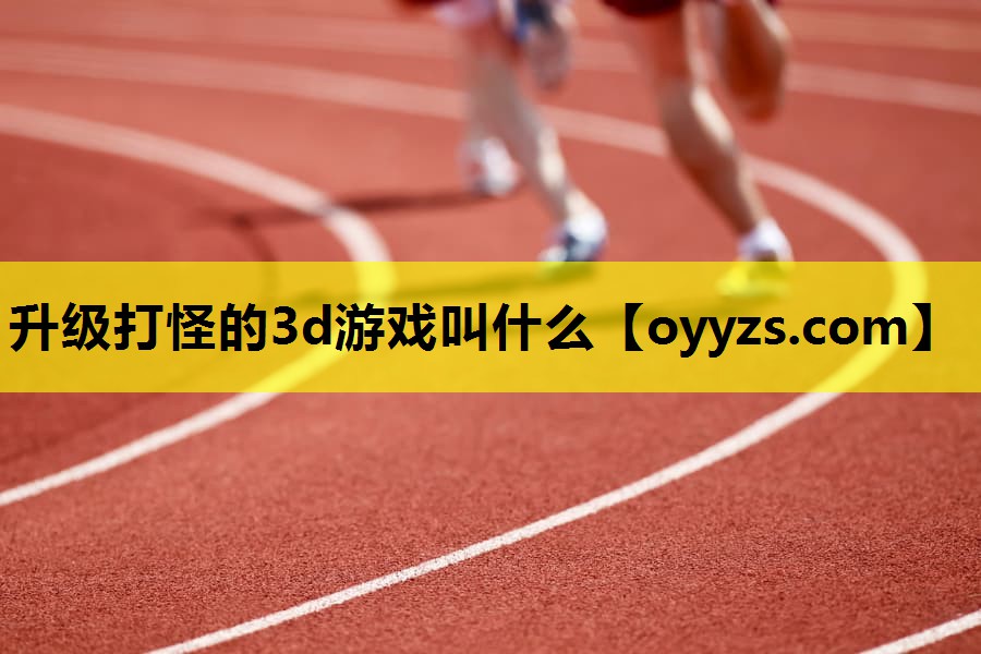 升级打怪的3d游戏叫什么